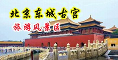 操骚逼插逼视频中国北京-东城古宫旅游风景区